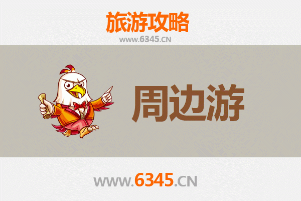 海口龙华区周边游全攻略：探索历史与现代交融的热带风情