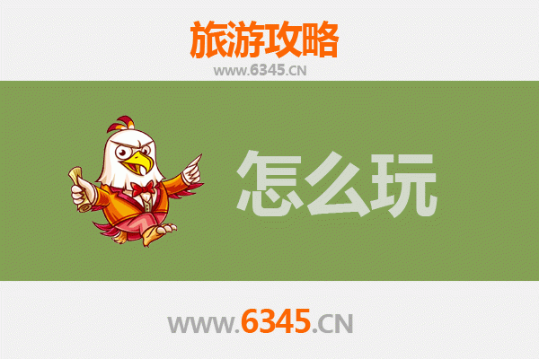 海口龙华区节假日旅游全攻略：探索椰城文化与美食之旅